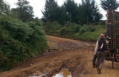 road-project