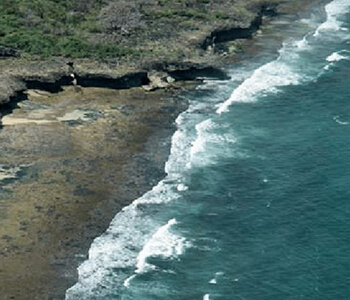 Preparation of Marine Ecological Baseline Survey (MEBS)