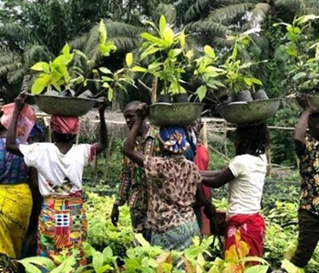 Preparation of Environmental and Social Management Framework for National Agricultural Value Chain Development Project (NAVCDP)