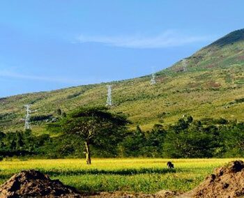 Preparation of High-Level Environmental and Social Impact Assessment (ESIA) for Proposed Selected Transmission Lines and Sub-Stations in Kenya