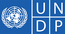 EMConsulting client - undp